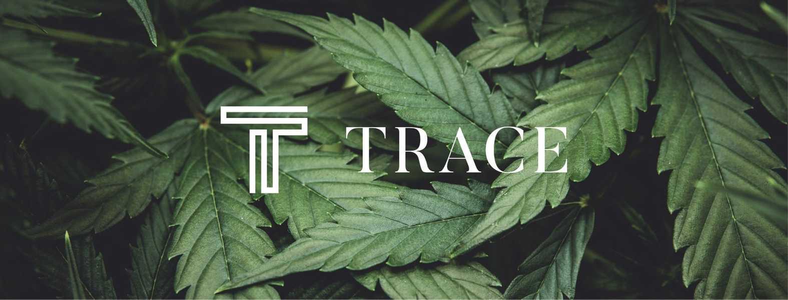 Trace, BBLLC featured image