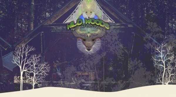 vintage movie poster of wild woods music & arts festival in winter season
