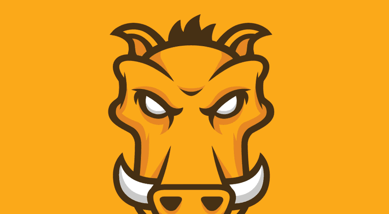 angry boar head on yellow background