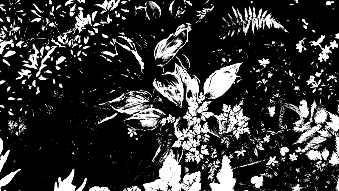 Floral background graphic for experience section