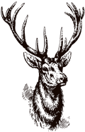 Griffen Fargo Logo